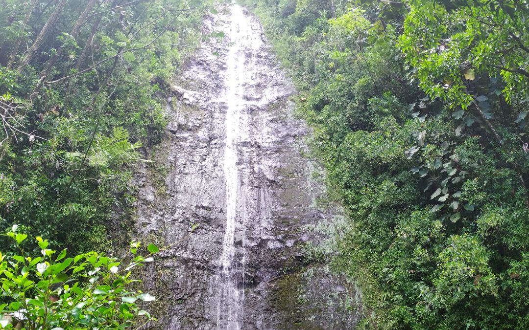 10/07/2019 Manoa Falls